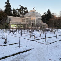Photo taken at Jardins Albert Kahn by Lulu L. on 1/19/2024