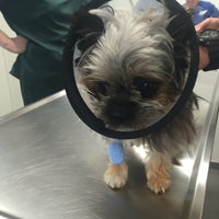 Photo taken at Animal Clinic by Léa M. on 8/22/2016