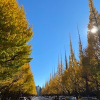 Photo taken at Gingko Trees by Chizuru K. on 11/28/2021