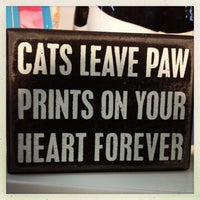 รูปภาพถ่ายที่ Paws Pet Boutique โดย Nicole K. เมื่อ 4/11/2013