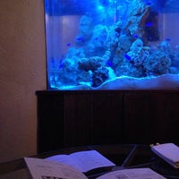 Deep Blue 横浜 関内 横浜市 神奈川県