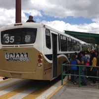 ruta 4 pumabus