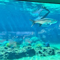 Photo taken at Ocean World Adventure Park by Pam G. on 11/21/2023