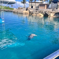 Снимок сделан в Ocean World Adventure Park пользователем Pam G. 11/21/2023
