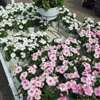 ロイヤルホームセンター 南増尾店 柏市 南増尾7 9 26 ロイヤルホームセンター 南増尾店 柏市 南増尾7 9 26