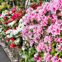 Photo taken at Ota Market Flower Div. by 亜米利加 on 4/26/2022