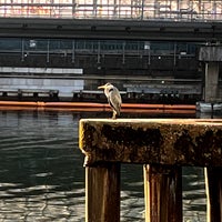 Photo taken at 八潮橋 by 亜米利加 on 2/23/2023