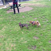 Photo taken at glencoe dog park by Slamm A. on 1/30/2014