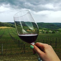 Photo taken at UPPA Winery by Nastya K. on 4/12/2016