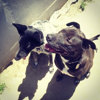 Photo taken at TBWA\Chiat\Day Dog Park by Chase M. on 5/20/2013