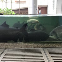 Photo taken at Fish Pond | Changi General Hospital by Ethan L. on 8/15/2017
