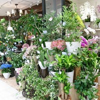 日比谷花壇 そごう横浜店 Flower Shop In 横浜市 西区