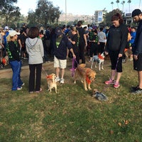 Photo taken at Race for the Rescues@ the Rose Bowl by thePLURvegan on 10/18/2014