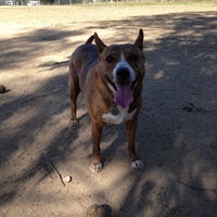 Photo taken at Griffith Park Dog Park by Traci Y. on 4/18/2013