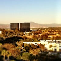 Newport Beach Marriott Bayview - Bayview - 19 tips from ...