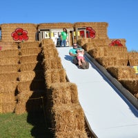 9/24/2017にTed R.がFifer Orchards Farm and Country Storeで撮った写真