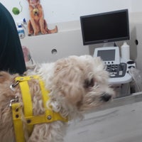 Photo taken at Evcilim Pet&amp;amp;Klinik by Nil B. on 1/9/2018
