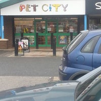 Pet city sale tong street