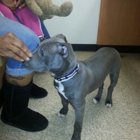 banfield pet hospital ikea blvd