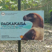 Photo taken at Philippine Eagle Center by Denis d. on 2/7/2024
