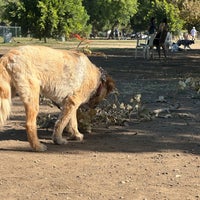 Photo taken at Sepulveda Basin Off-Leash Dog Park by Danny D. on 11/5/2023