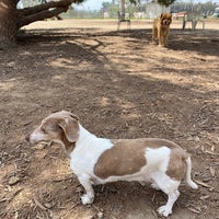 Photo taken at Sepulveda Basin Off-Leash Dog Park by Danny D. on 4/11/2023