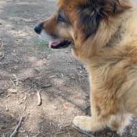 Photo taken at Sepulveda Basin Off-Leash Dog Park by Danny D. on 4/11/2023