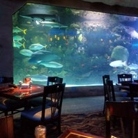 Photo taken at Aquarium Restaurant by Terri F. on 4/26/2018