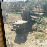 Photo taken at Yerevan Zoo by Prantz I. on 9/3/2023