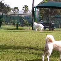 Lyngate Park Port Saint Lucie Fl Lyngate Park Port Saint Lucie Fl