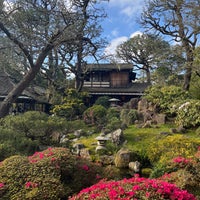 Photo taken at Japanese Tea Garden by Carlos R. on 2/25/2024