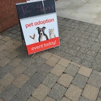 PetSmart 10 tips from 1018 visitors