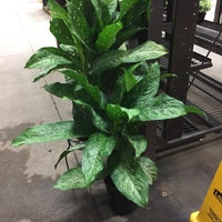 Photo taken at Lowe&amp;#39;s by Scott C. on 1/3/2017