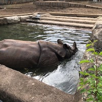 Photo taken at Rhinoceros by peko c. on 5/6/2019