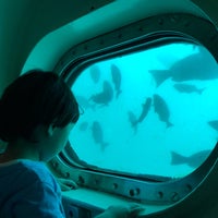 勝浦海中展望塔 Scenic Lookout In 勝浦市 勝浦海中展望塔 Scenic Lookout In 勝浦市