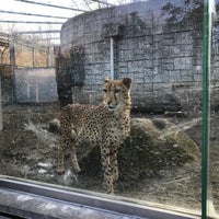 Photo taken at Cheetah by peko c. on 3/10/2018