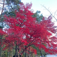 Photo taken at Lake Kizaki Campground by たぴも に. on 10/29/2023