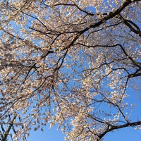 大宮前公園 Playground 大宮前公園 Playground