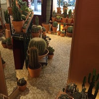 Photo taken at Les Succulents Cactus by Robinson D. on 9/19/2015