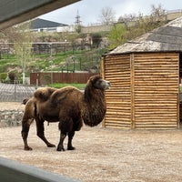 Photo taken at Yerevan Zoo by Artur on 4/7/2023