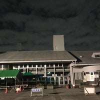 武蔵野プール Pool In 武蔵野 武蔵野プール Pool In 武蔵野