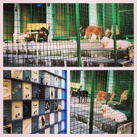 Foto scattata a PAWS Animal Rehabilitation Center da J L. il 1/5/2013