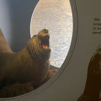 Photo taken at Zoologisk Museum by Car on 2/19/2022