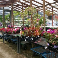Golden Nursery Downtown San Mateo 2 Tips From 215 Visitors Photo Taken At Golden Nursery By Michelle C On 10 29 2017
