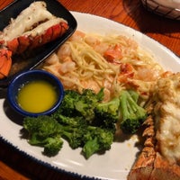 Red Lobster Seafood Restaurant [ 200 x 200 Pixel ]
