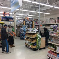 pet supplies plus on livernois