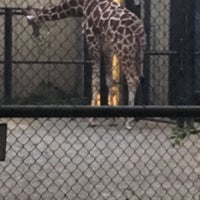 Photo taken at Giraffe Barn by Alex K. on 9/13/2018