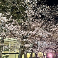 Photo taken at Shukkei-en by Akihiro S. on 3/30/2024
