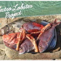 2/4/2015 tarihinde Electro Lobster Projectziyaretçi tarafından Electro Lobster Project'de çekilen fotoğraf