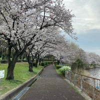 Photo taken at 荒子川公園 by Susumu on 3/27/2021